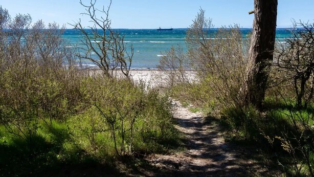 Un sendero costero que lleva a una playa con aguas azules cristalinas y un barco a lo lejos.