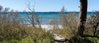 Beach Camp 