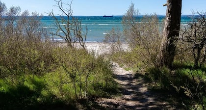 Beach Camp