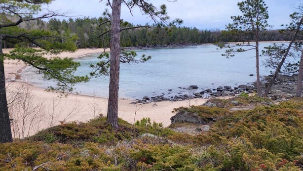 Ein Strand mit klarem Wasser, sandigem Ufer und umgebenden Bäumen.