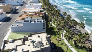 Um hotel à beira-mar com terraço no telhado, palmeiras e vista para o oceano.