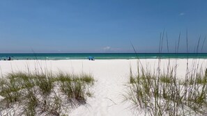 On the beach