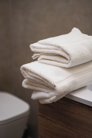 Dusche, Haartrockner, Bidet, Handtücher