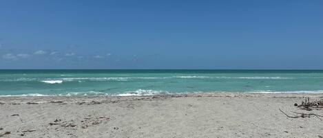 Platja a a prop, gandules de platja i tovalloles de platja