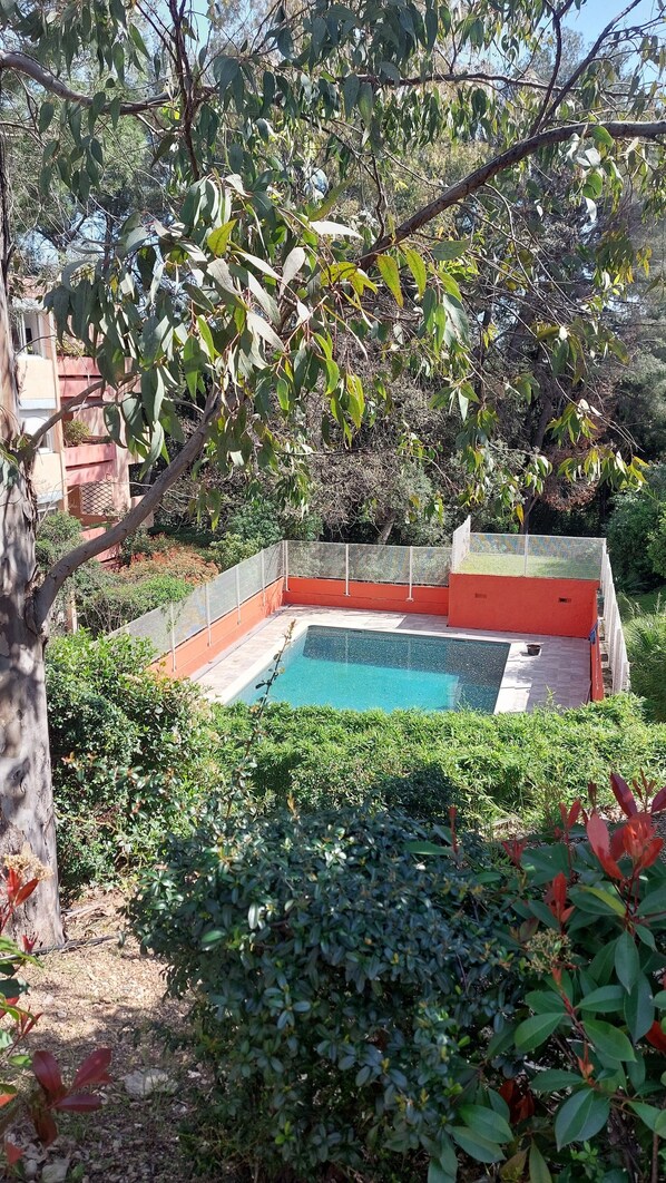 Relax by the serene pool surrounded by lush greenery and a beautifully maintained garden.