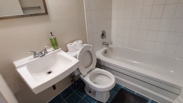 Hair dryer, towels, soap, toilet paper