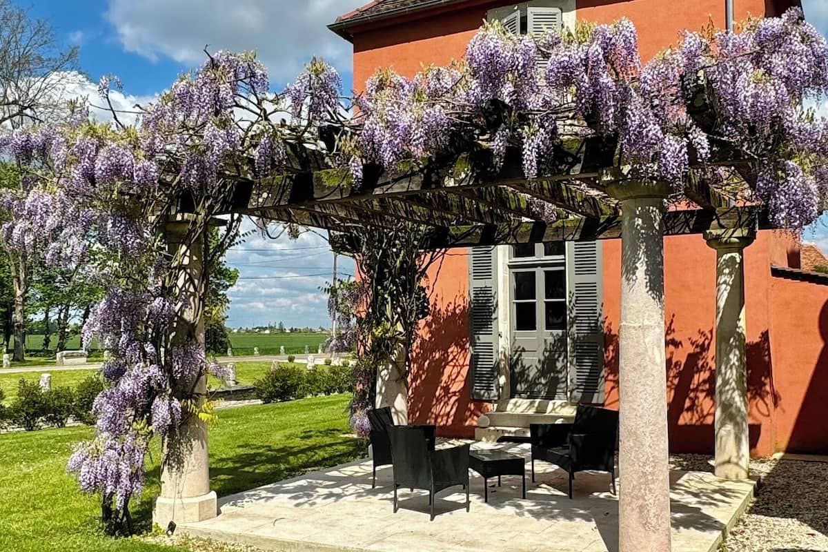 Een rood gebouw met een pannendak, een pergola vol paarse bloemen en een terras met tuinmeubilair.