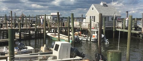 Marina
