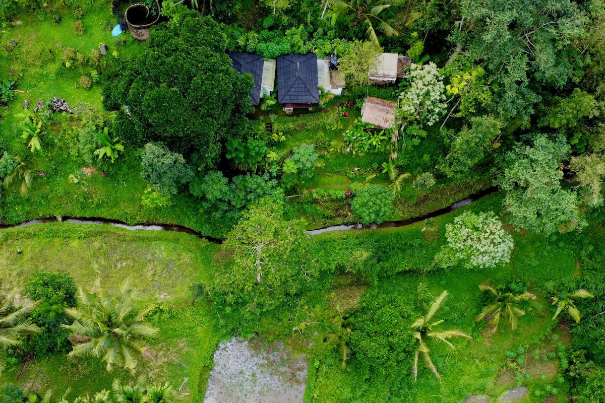 An aerial view of a lush, green landscape with terraced fields, a few small structures, and scattered trees.