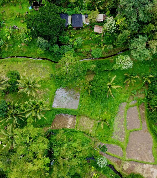 Bungalow, vista al río | Vista al patio