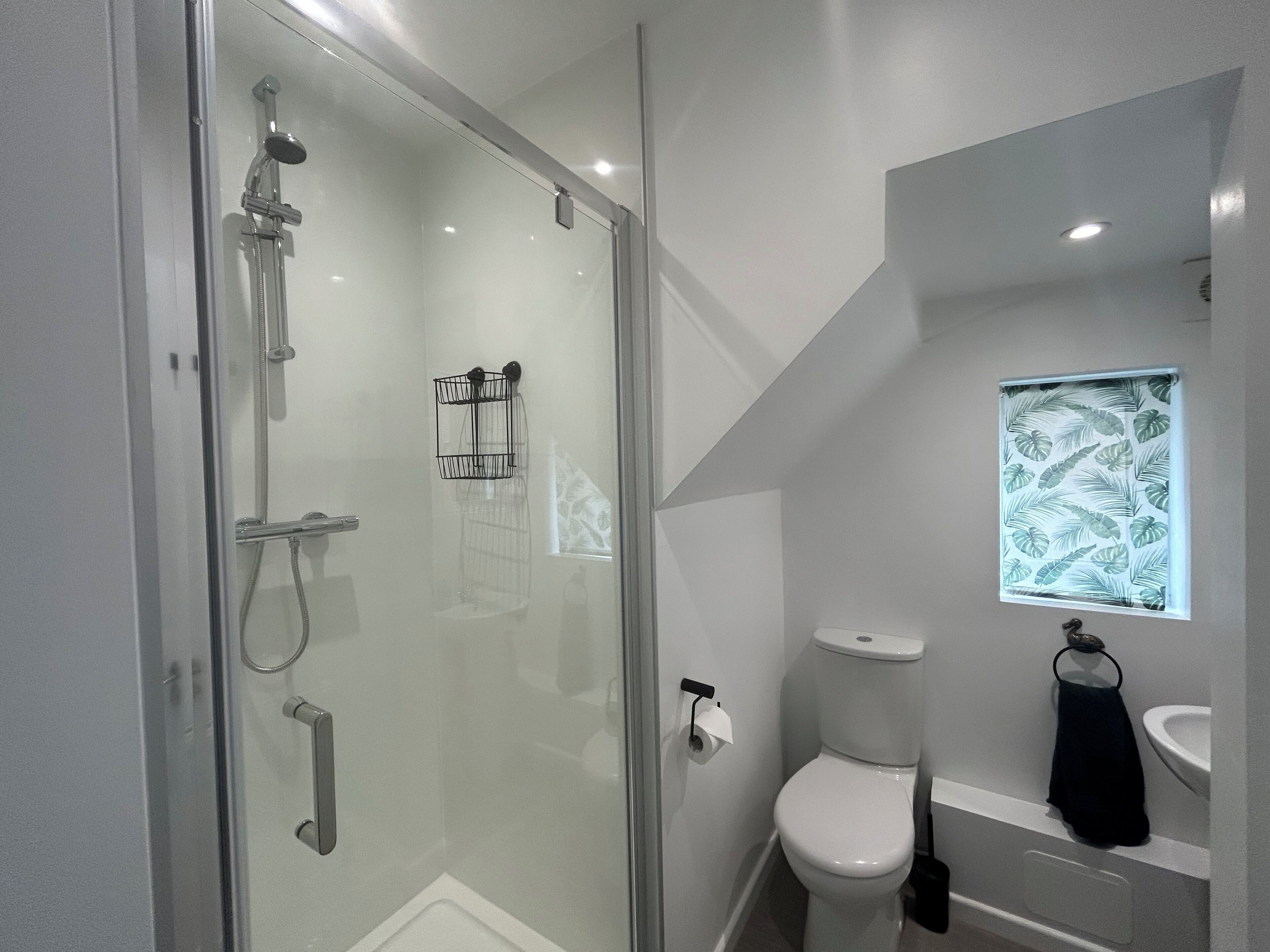 Hair dryer, towels, soap, toilet paper