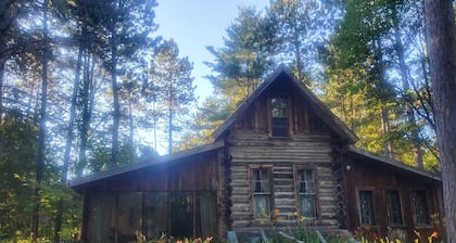 Retro Fosters Lake Cabin- Romantic Retreat w Sauna & Volleyball Court