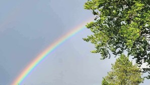 Een tuin met een regenboog, een houten omheining en een rood gebouw.