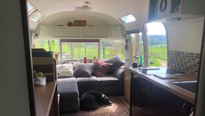 Interior acogedor de una autocaravana con sofá, alfombra, un perro y una zona de cocina con fregadero y ventana con vistas a la vegetación.