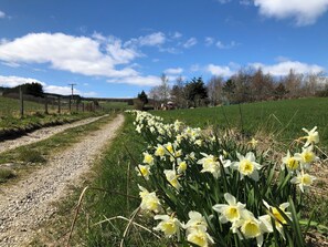 Área da propriedade