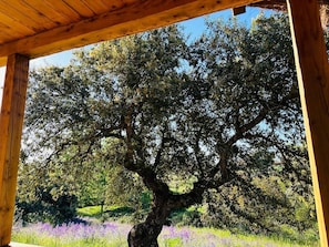 A wooden pergola structure with a view of a large tree and a field of purple flowers.