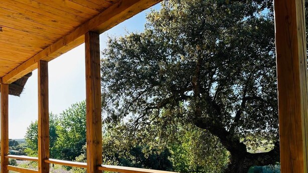 Terraza de madera con barandilla que da a un jardín con árboles y flores moradas.