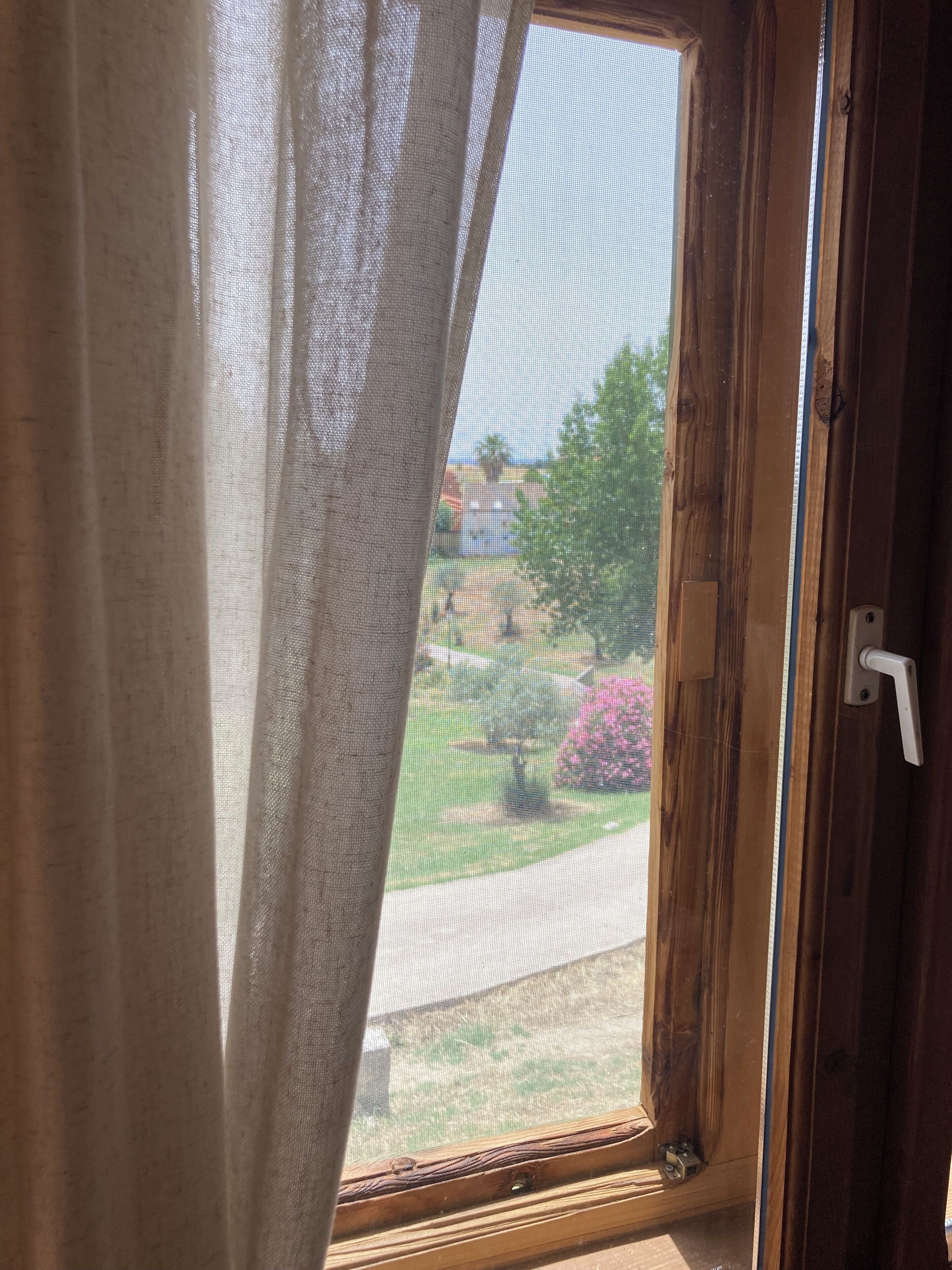 A window with a wooden frame and a white door handle.