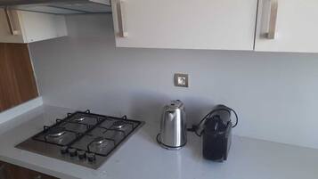 Fridge, oven, stovetop, dishwasher