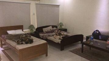 Soundproofing, iron/ironing board, free WiFi