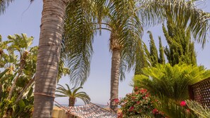 A hammock between palm trees, a clear sky, and a view of the ocean. - Larnaca Chelidonia Seafront Villa (Meneou)