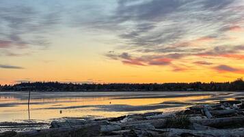 A lakeside view at sunset with a distant shoreline, logs, and sparse vegetation.