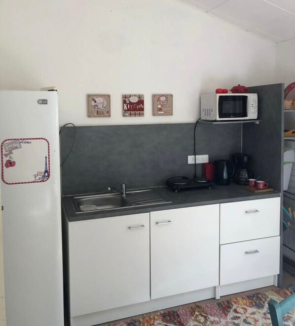 Frigorífic, microones, placa de cuina i cafetera i tetera 