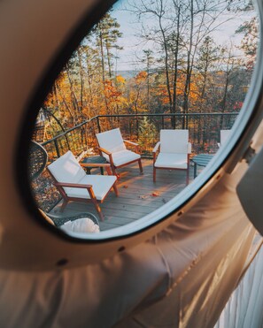 Property grounds - Honeybee Geodesic Dome at Starlight Haven Resort (Hot Springs)