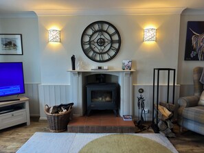 TV connectée, cheminée, jeux vidéo, lecteur de DVD