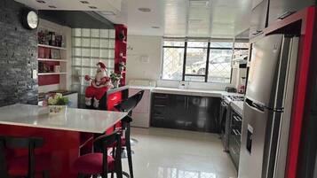 Fridge, oven, stovetop