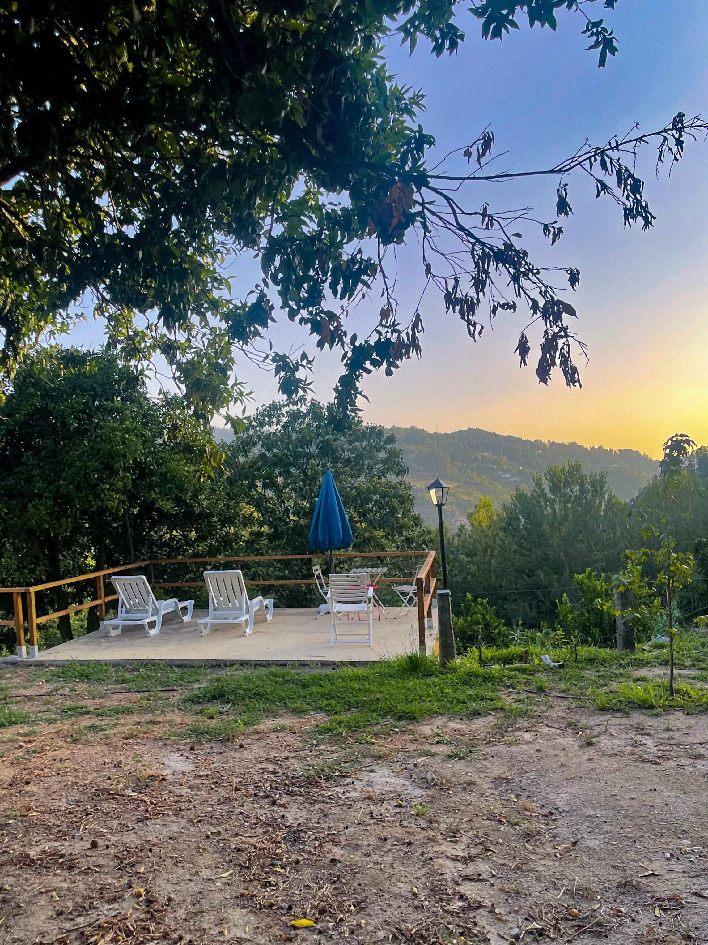 Jardines del alojamiento