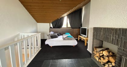 COZY PENTHOUSE in the middle of the BAVARIAN FOREST +NETFLIX +POOL +SAUNA +GYM