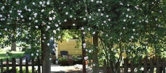 Updated farmhouse on 5 acres near salem oregon