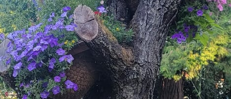 Terrain de lâhĂ©bergement