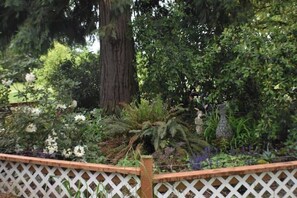 Property grounds - Updated farmhouse on 5 acres near salem oregon (Jefferson)