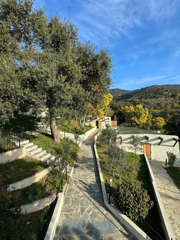 Property grounds - Apartement Avec Terrasse A 10 MN DES Plages A Pieds (LE LAVANDOU)