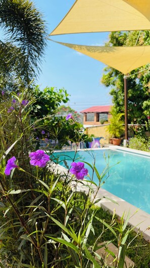 Outdoor pool - Purple Suites Atami (La Libertad)