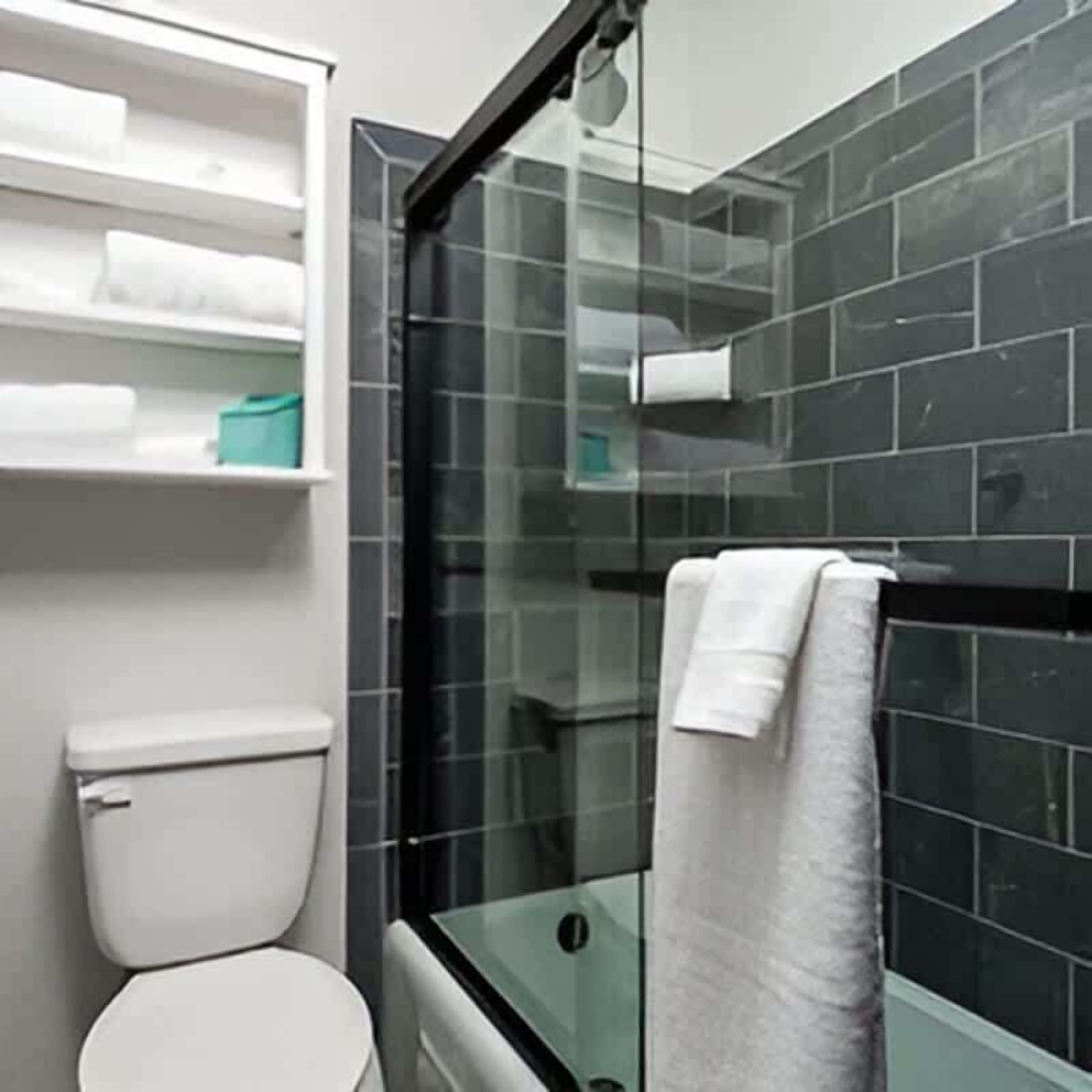 Shower, hair dryer, towels, shampoo