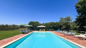 Piscina rectangular con borde de azulejos, rodeada de sillas de descanso y sombrillas, con árboles y un cielo despejado como fondo.