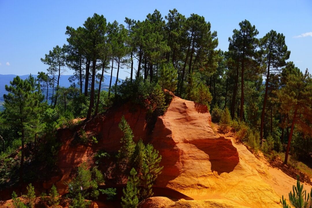 Eine natürliche Landschaft mit einer markanten roten Felsformation, umgeben von Bäumen.