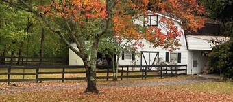 Cozy country stay centrally located to entertainment, adventure and good food!