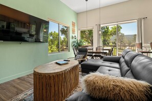 Smart TV, fireplace, books