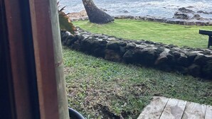 A view of the ocean with a grassy area and a wooden deck.
