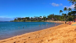 A beach with clear blue water, people swimming and sunbathing, and a line of palm trees.