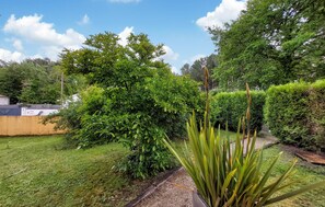 Stroll through the serene garden, surrounded by lush greenery and a majestic tree.
