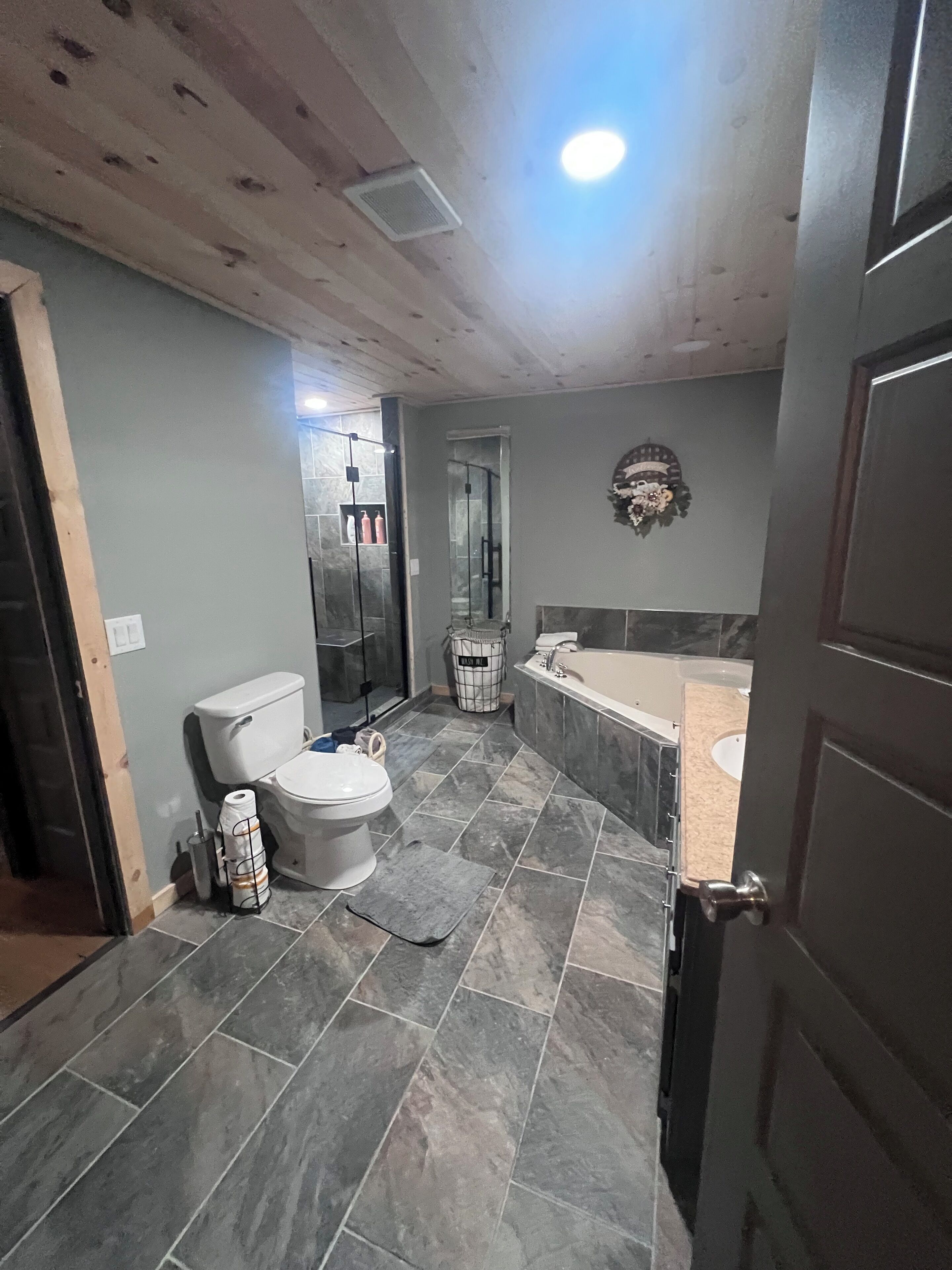 Shower, jetted tub, hair dryer, towels