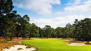 Ein Golfplatz mit Sandbunkern, einem gepflegten Grün und einer Baumreihe im Hintergrund.
