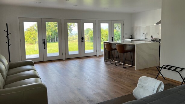 A spacious living area with a large sliding glass door leading to a garden, a kitchen with a bar area, and a seating arrangement with a sofa and chairs.