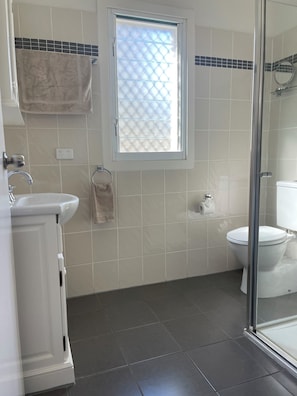 Shower, hair dryer, towels, soap
