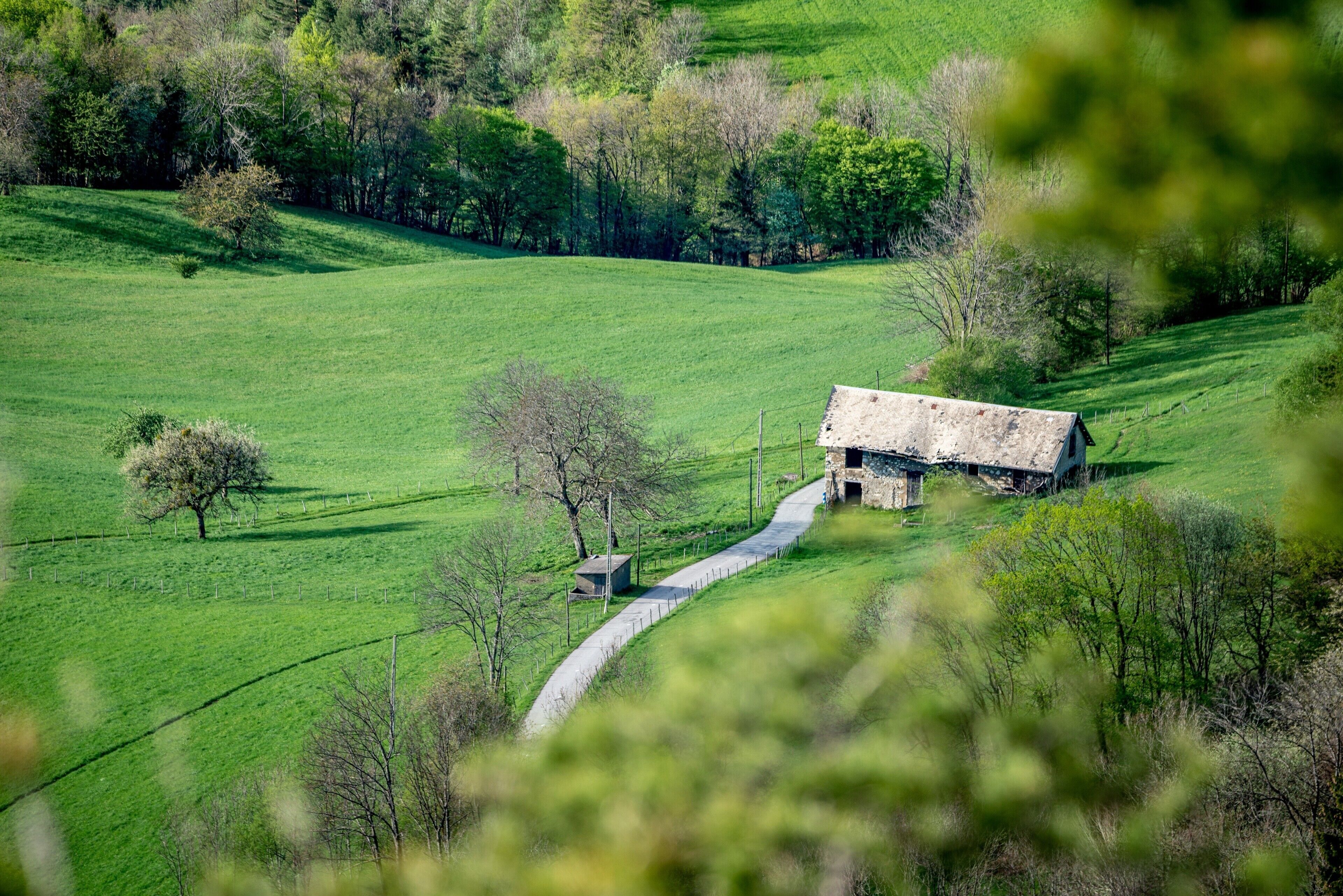 A rural landscape with a stone barn, a winding path, and a fenced field.